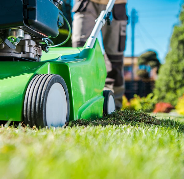 AF Handwerker - Gartenarbeiten