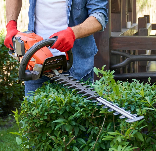 AF Handwerker - Heckenschnitt